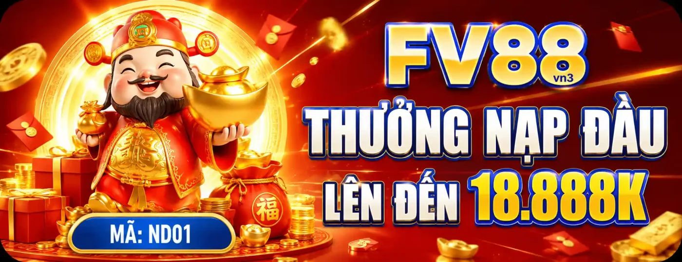 banner fv88