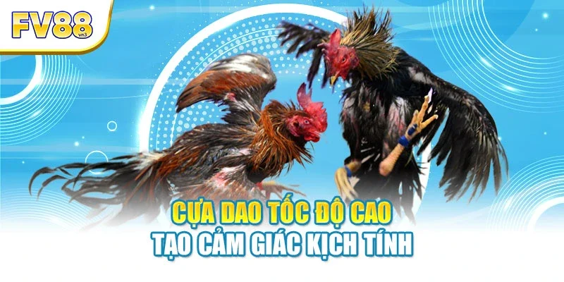 Cựa dao tốc độ cao tạo cảm giác kịch tính